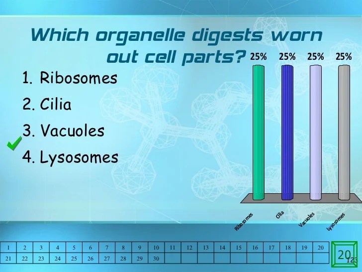 Cell structure lecture