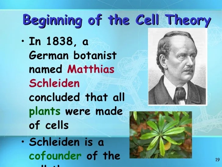 Cell structure lecture