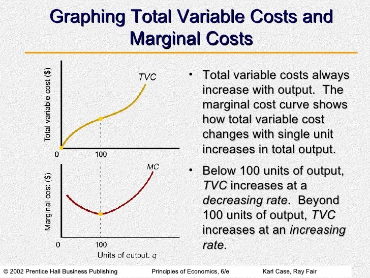 ShortRun Costs and Output Decisions