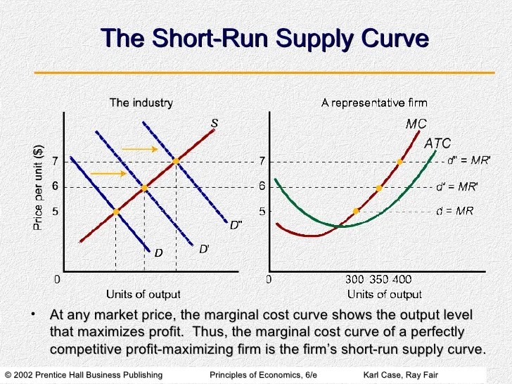 ShortRun Costs and Output Decisions