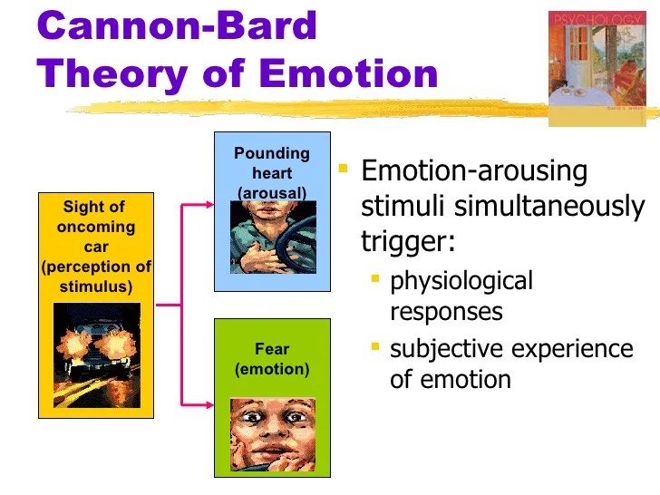 Ch13 ppt