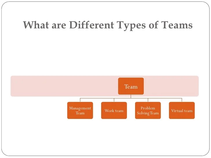 Types of Teams Permanent Teams, Temporary Teams, Task Force, Virtual