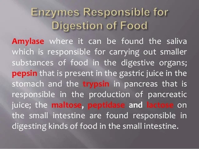 Changes in Food as it Undergoes Mechanical and Chemical Digestion Gra…