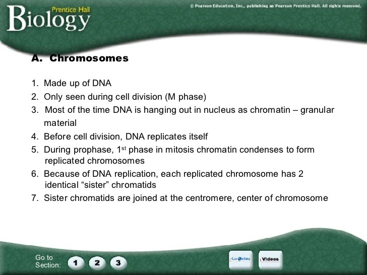 Chapter 10 Energy In A Cell Worksheet Answers Nidecmege