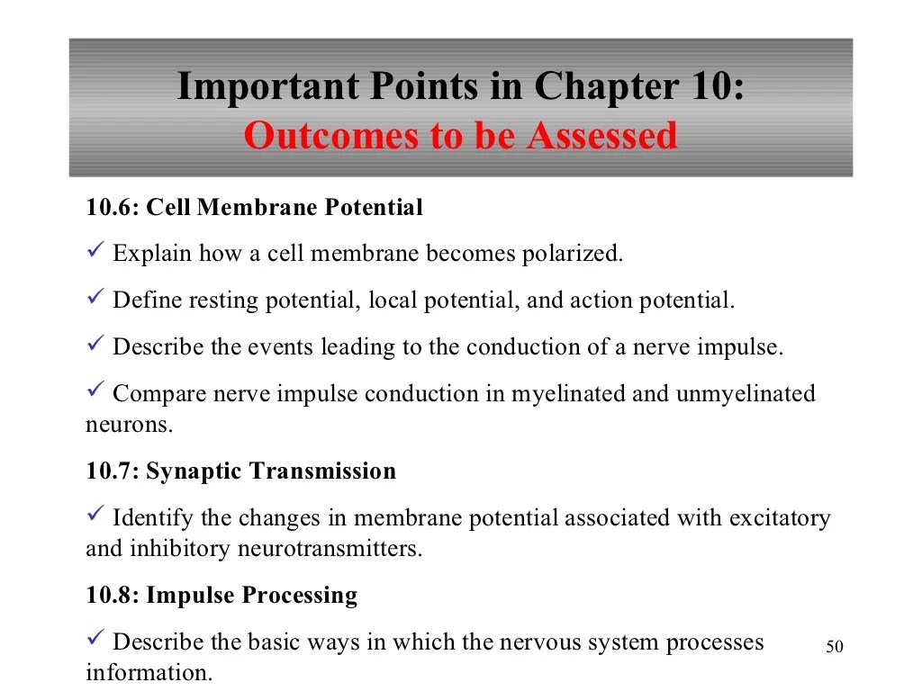 Chapter 10 Nervous System I Basic Structure and Function