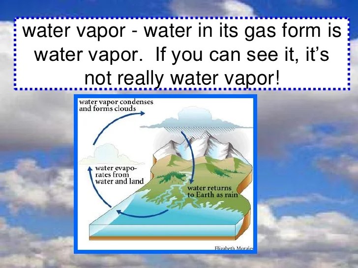 Chapter 10 Lesson 4