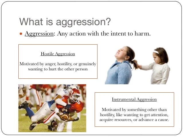 AGGRESSION (Psych 201 Chapter 13 Spring 2014)