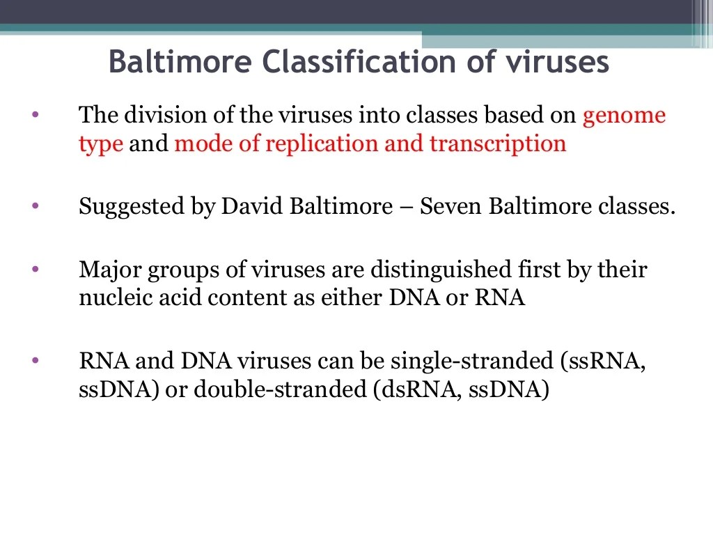 Chapter 2 classification of virus