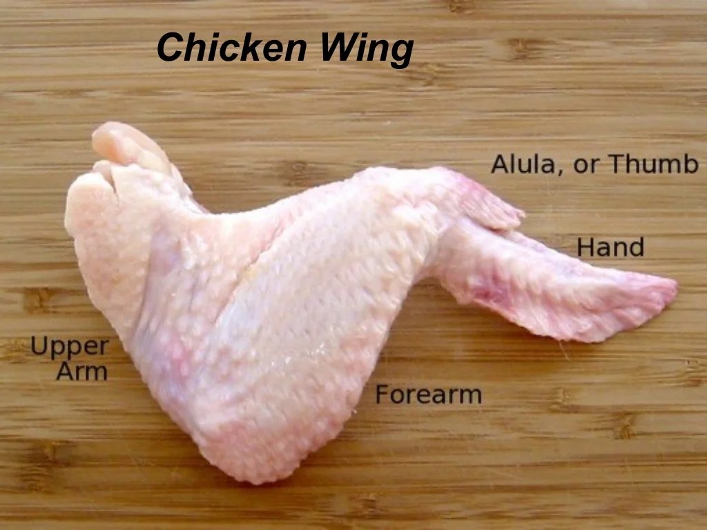 Chicken wing dissection