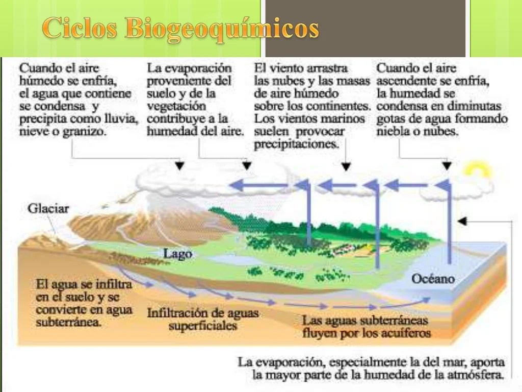 Ciclo del potasio