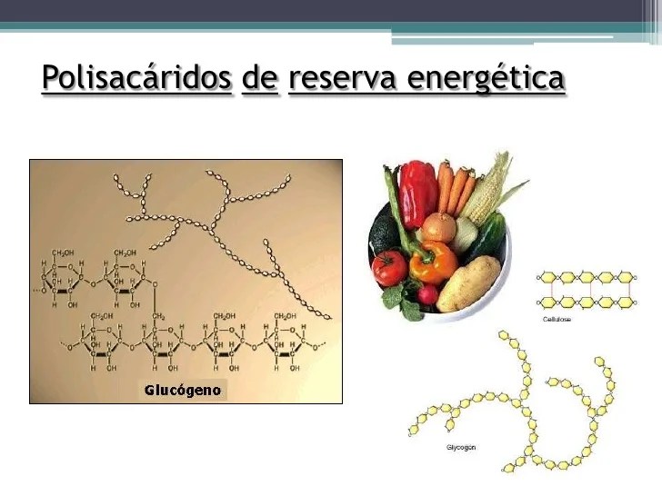 Clases 1°