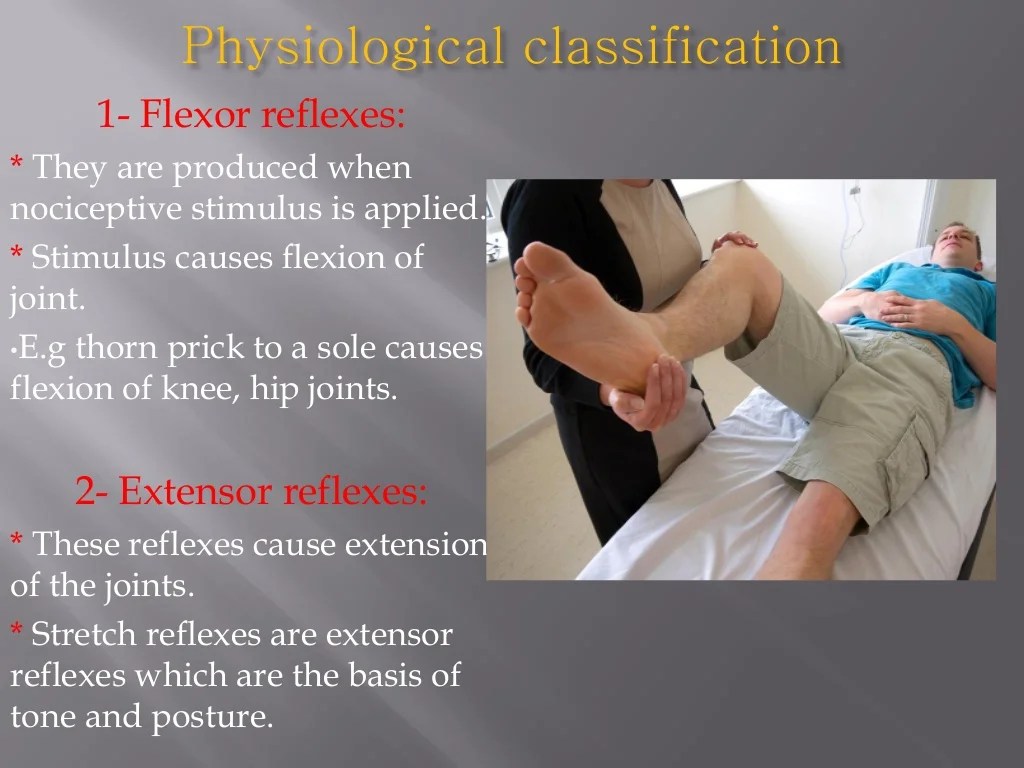 Classification of reflexes