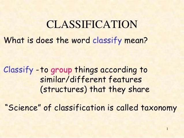 Classification system Classification system