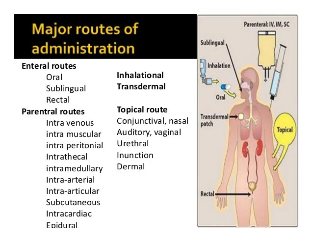 Class routes of drug administration