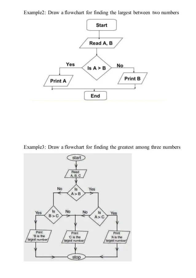 Algorithm And Flowchart Exercises For Class 8 Exercis vrogue.co