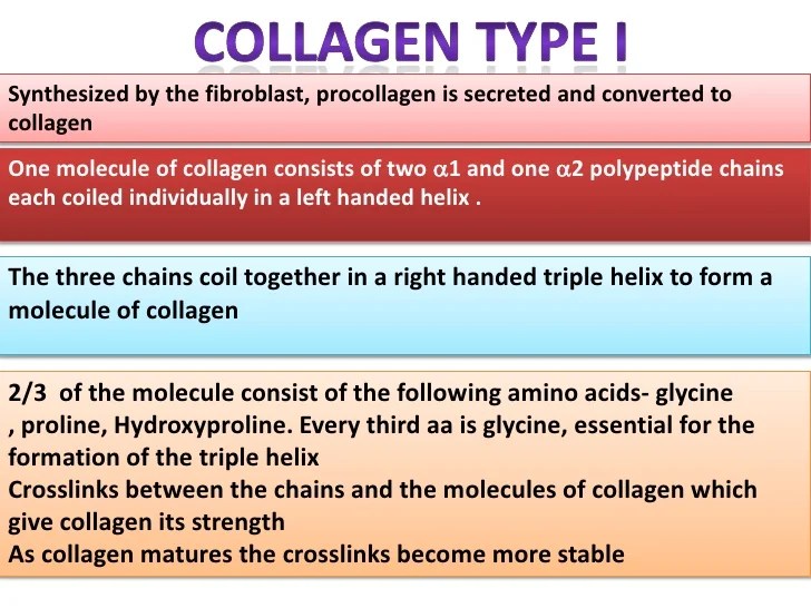 COLLAGEN Structure , Distribution , Synthesis & Regulation