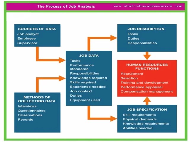 Competencybased Recruitment and Selection Interviewing (CBI) Skills