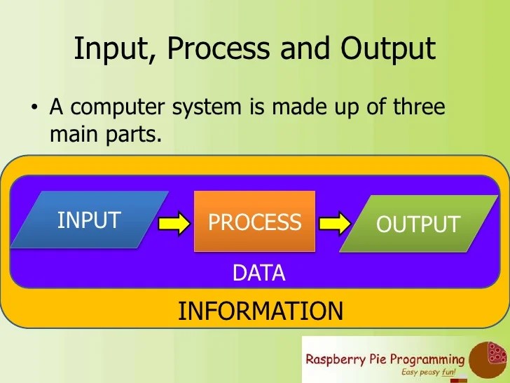 Computer Systems Input, Process, Output