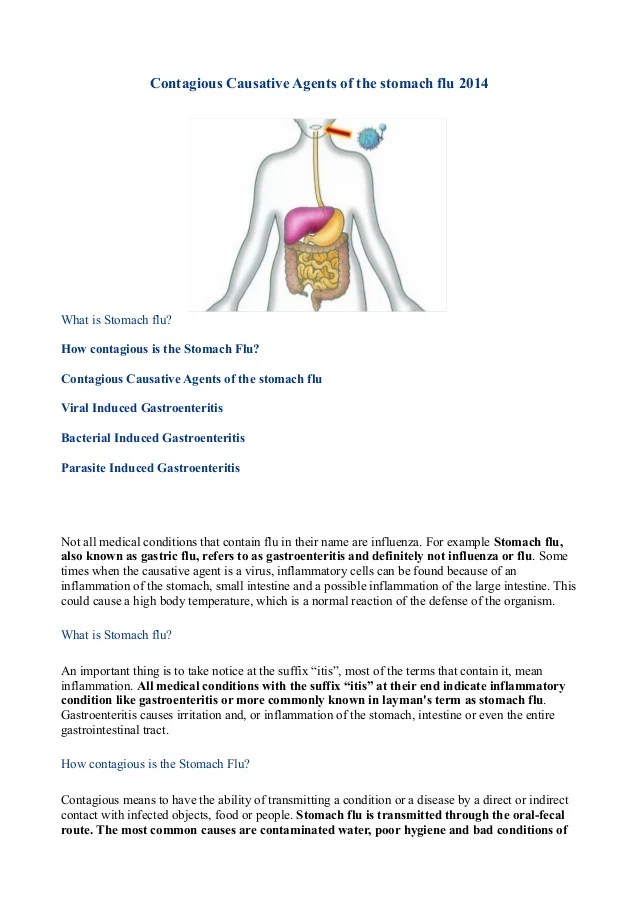 Contagious causative agents of the stomach flu 2014