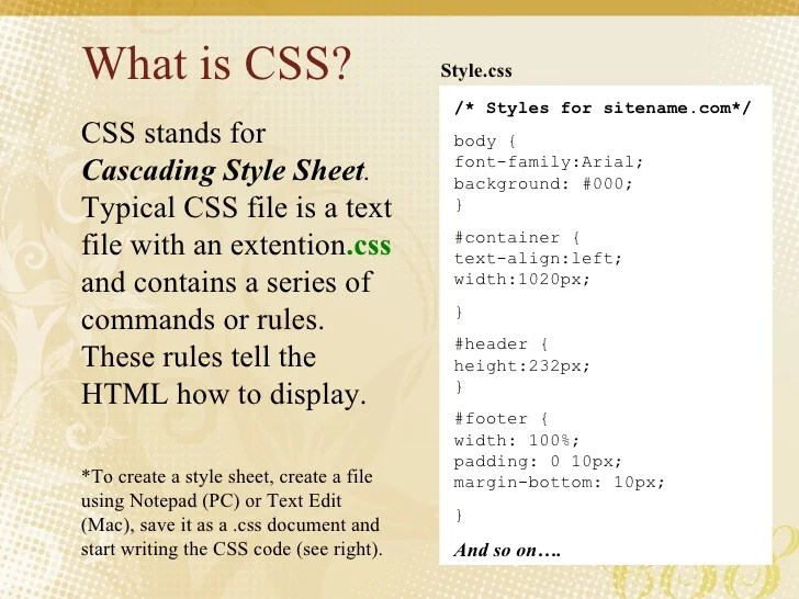 CSS Basics