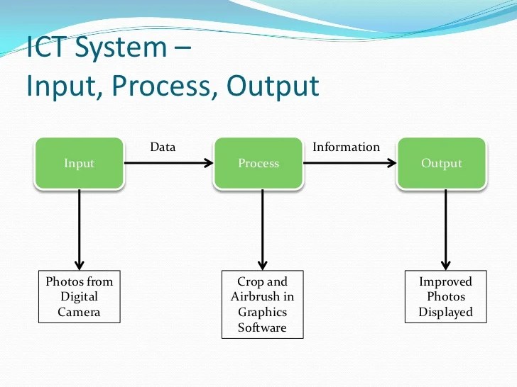 Data and Information Input, Process and Output