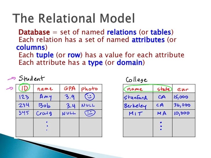 Database Basics and MySQL