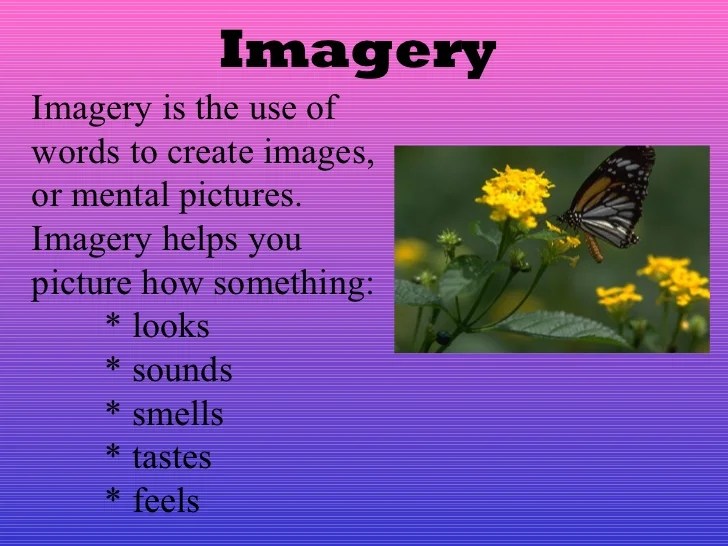 Critical essay Descriptive writing ppt