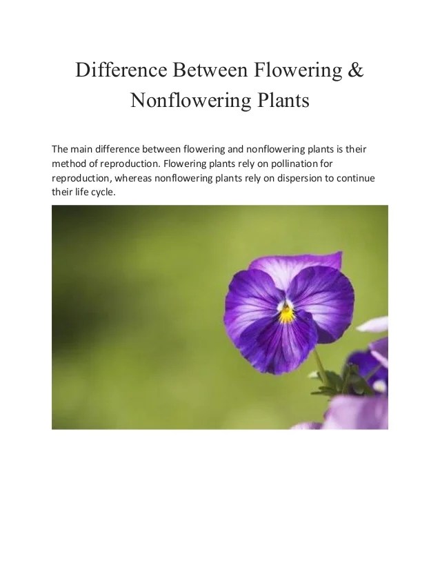Difference between flowering & Non Flowering Plants