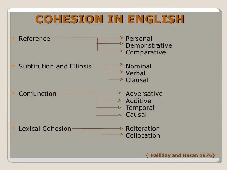 Discourse properties