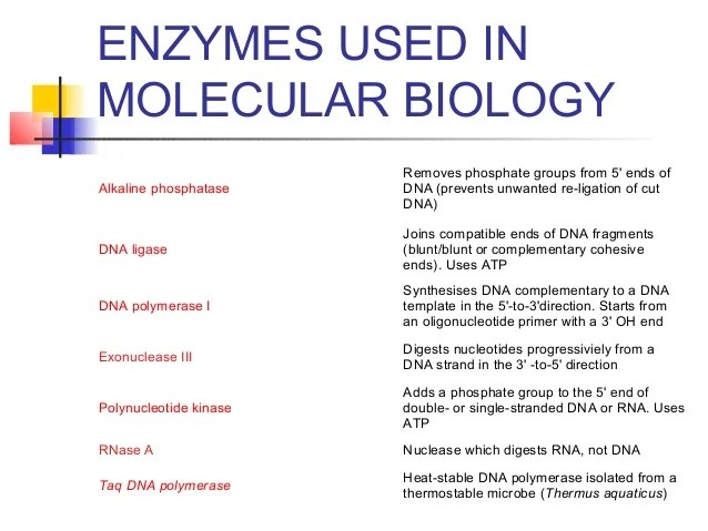 Dna cloning intro