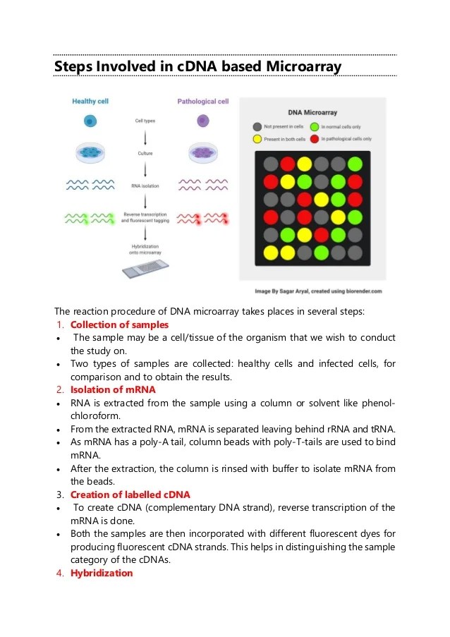DNA Microarray notes.pdf