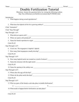 Double fertilization tutorial | PDF
