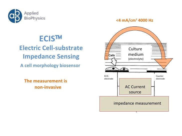 Ecis Applied Biophysics