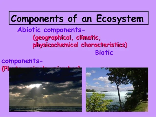 Ecosystem Concepts