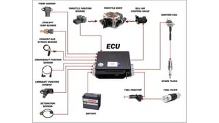 ECU Engine Control Unit .. Inputs & Outputs _ Explained | PDF