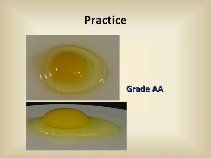 Egg Quality1