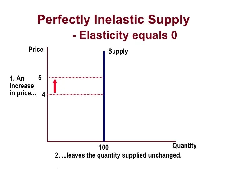 Elasticity Forecasting