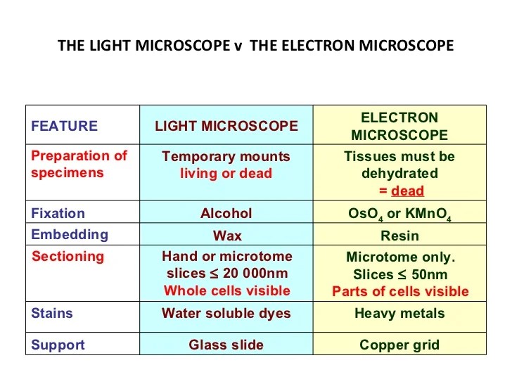 Electron microscope