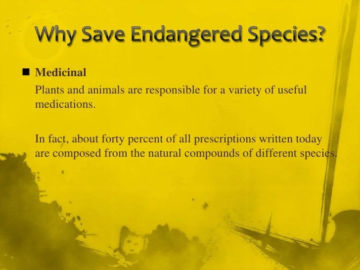 😊 Protecting endangered animals essay. Endangered Species. 20190206