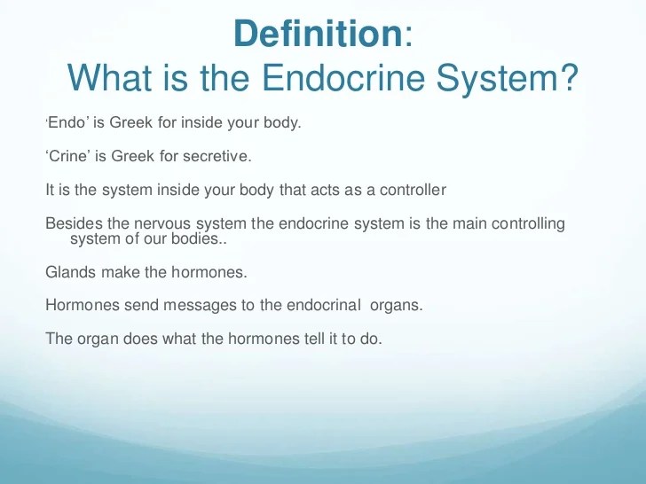 Endocrine system
