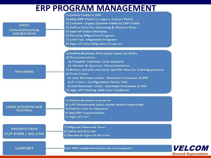 Erp program management