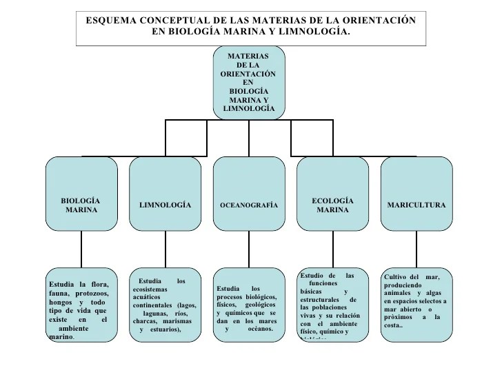 Esquema Conceptual