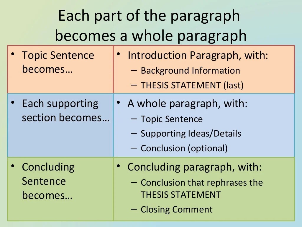 Essay structure introduction