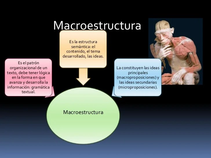 LETRAS DE LIBERTAD ESTRUCTURA TEXTUAL SUPERESTRUCTURA