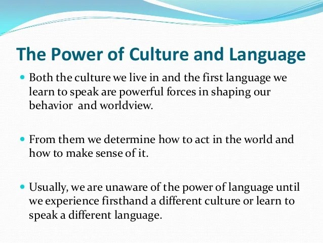 What is worldview essay