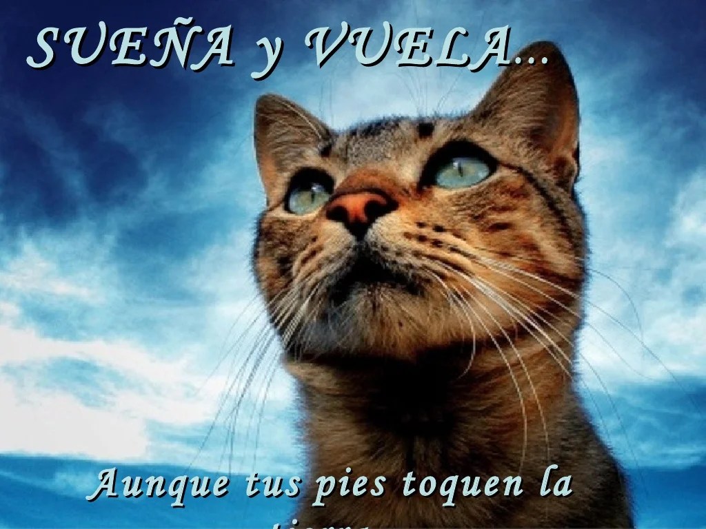 Ey !! arriba ese ánimo...