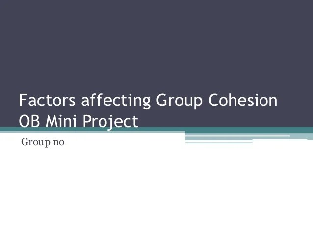 Factors affecting group cohesion