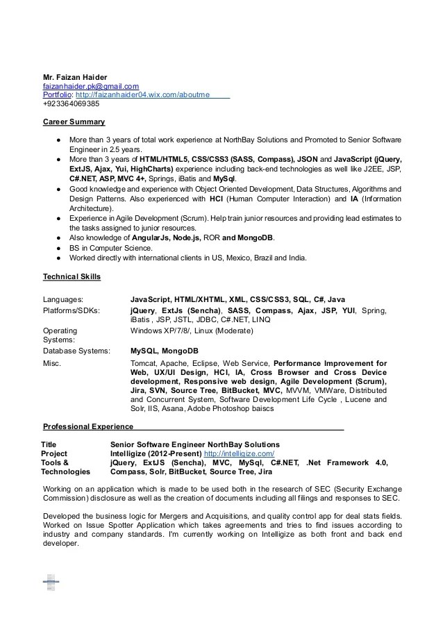 Faizan Haider (Sr. Software Engineer Full Stack Web
