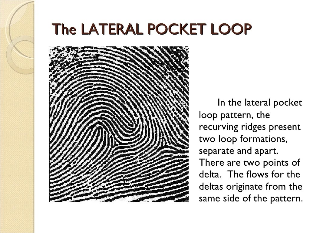 Fingerprint Pattern