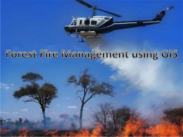 Forest Fire Management Using Gis